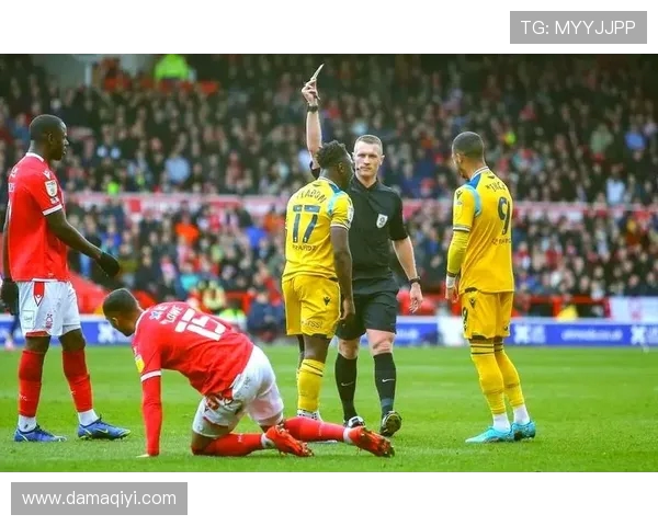 谢菲联主场迎战加的夫城争夺英冠积分榜关键胜利