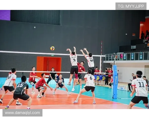 广州排球队的默契配合与战术分析探讨排球运动的魅力与团队精神