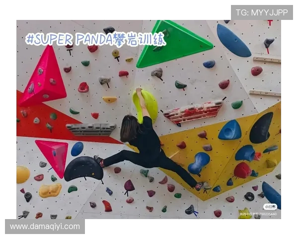 成都攀岩队节奏表现数据分析揭示训练效果与提升空间