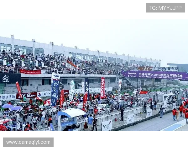 成都乒乓球队实力强劲最新耐力排行榜前十名揭晓