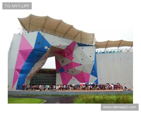 杭州攀岩队在世界滑板锦标赛中的奋进之路与辉煌成就揭秘