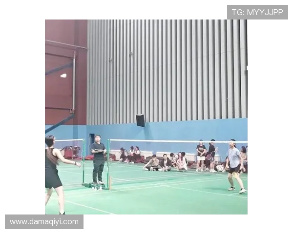 杭州羽毛球队总决赛精彩表现分析团队协作的重要性与未来展望