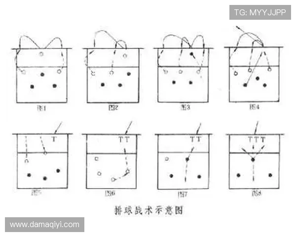 深圳排球队的战术分析与控制得失对比赛结果的影响探讨