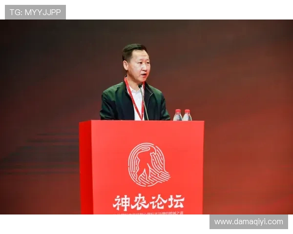 重庆攀岩队中路突破之路探索与发展全景解析