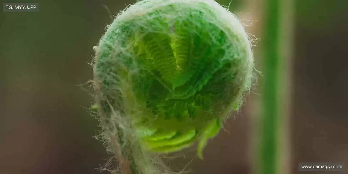 🏀装备升级，战力全开！专业品质，助力每一次突破🚀